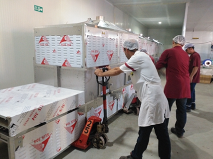 中國(guó)制造：讓挑剔的中東客戶交口稱贊！